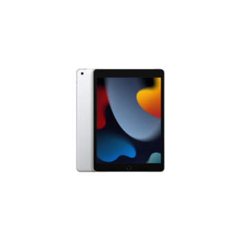 iPad 9th Generation